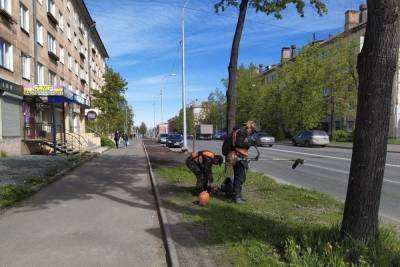 Улицы Петрозаводска продолжают убирать и ямочно ремонтировать