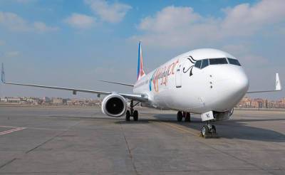 В Узбекистане создана специальная комиссия по инциденту в небе над Ташкентом с лайнером египетской авиакомпании Fly Egypt