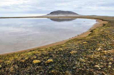 Минприроды определило ущерб от деградации мерзлоты в Арктике
