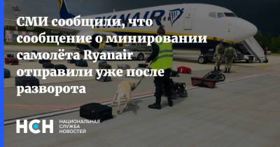 СМИ сообщили, что сообщение о минировании самолёта Ryanair отправили уже после разворота