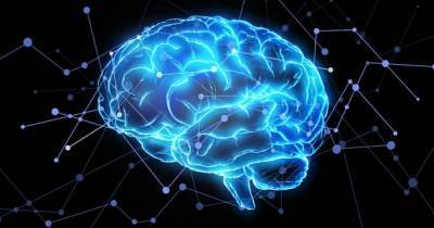 Ученые рассказали новые подробности того, как работает человеческая память