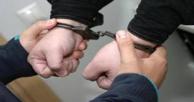 Житель района Хамадони задержан за кражу