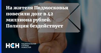 На жителя Подмосковья повесили долг в 42 миллиона рублей. Полиция бездействует