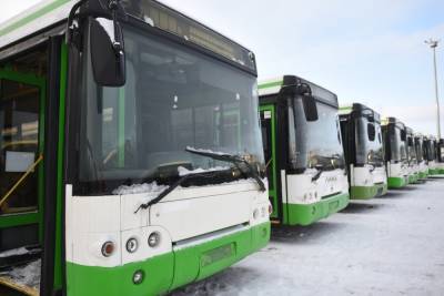На закупку автобусов большой вместимости Челны потратят 234 миллиона рублей