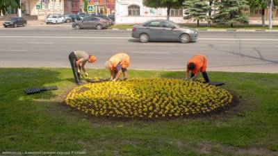 Рязань продолжают озеленять