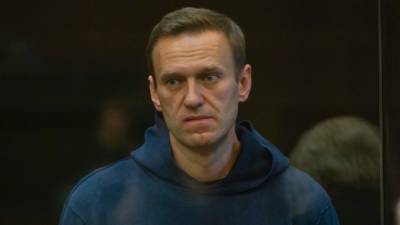 Депутат Госдумы назвал условия для возвращения беглых соратников Навального в РФ