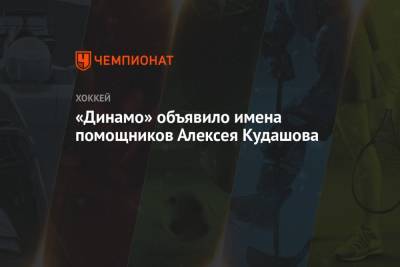 «Динамо» объявило имена помощников Алексея Кудашова