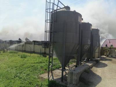 Пожар на свиноводческом предприятии в Каменском районе полностью ликвидировали
