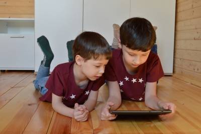 Псковским родителям посоветовали рассказать детям о преступлениях в интернете