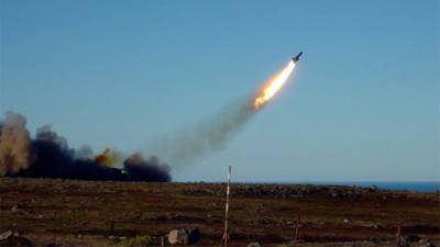 Путин указал на растущую роль крылатых ракет в вооружении