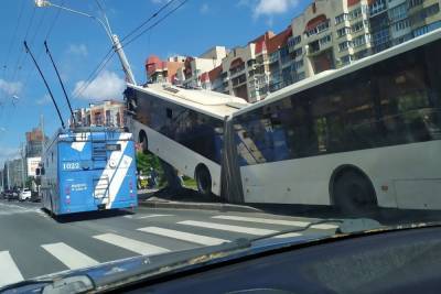 Эксперт оценил безопасность перевозчика, чей автобус въехал в столб в Петербурге