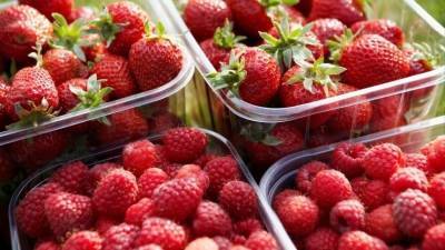 Убийственно вкусные: какие сезонные ягоды и фрукты могут быть смертельно опасны