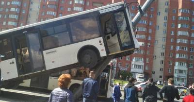 Неисправность "влезшего на столб" автобуса официально опровергли