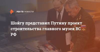 Шойгу представил Путину проект строительства главного музея ВС РФ