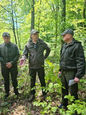 На українсько-угорському кордоні створять систему нагляду за річкою Тиса