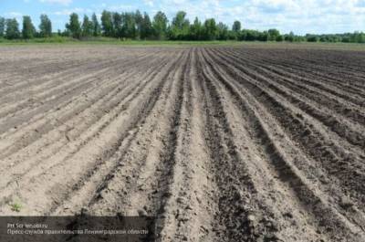 Новая реформа Украины приведет к обнищанию региональных фермеров