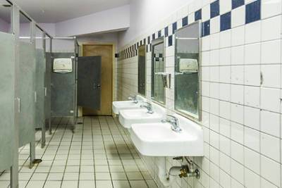Иностранная компания отремонтирует туалеты в российских школах