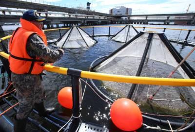 Знаковое событие: юбилейная – миллиардная экспортная тонна нефти отгружена на танкер Tigani в порту Приморск