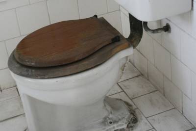 В России запустили конкурс на худший школьный туалет с ремонтом победителю