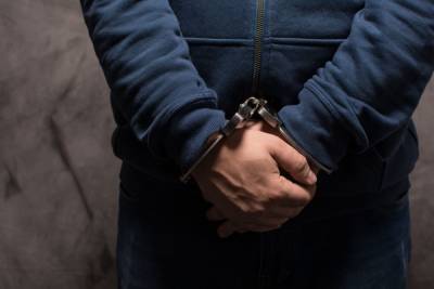 Суд в Петербурге отправил экс-охранника Сигала под арест