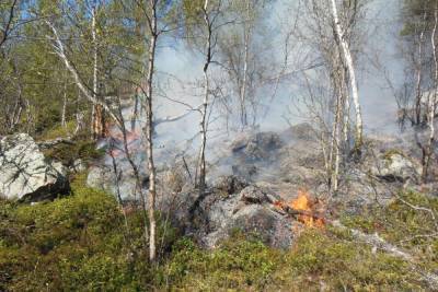 Операция по пресечению нарушений требований пожарной безопасности в лесах стартует в Заполярье