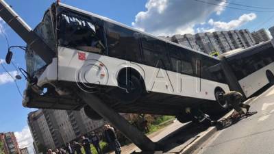 Все автобусы в Петербурге внепланово проверят после аварии со столбом
