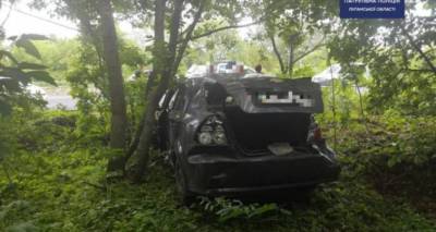 В Лисичанске автомобиль влетел в дерево (ФОТО)