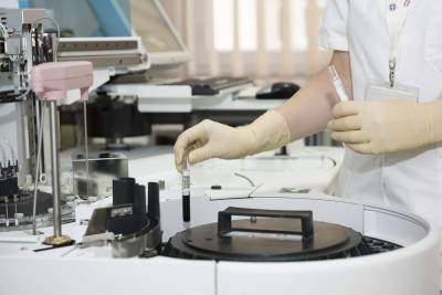 Учёные призвали поменять правило 14 дней для выращенных в лаборатории эмбрионов человека