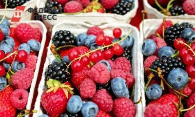 Россиян предостерегли от употребления сезонных фруктов и ягод