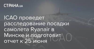ICAO проведет расследование посадки самолета Ryanair в Минске и подготовит отчет к 25 июня