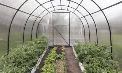 Органическое земледелие в теплице: готовим почву и планируем посадки