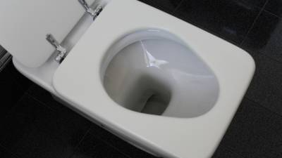 Российские школы участвуют в конкурсе на самый плохой туалет