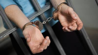 Россиянку осудили условно в США за нарушение визового законодательства - iz.ru - шт. Калифорния