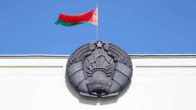 Минск направил ноту протеста восьми странам из-за заявления по лайнеру