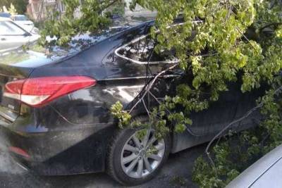 Сильный ветер повредил автомобиль в Томске