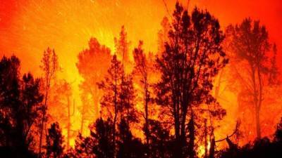В Якутии лесной пожар практически подобрался к нефтебазе