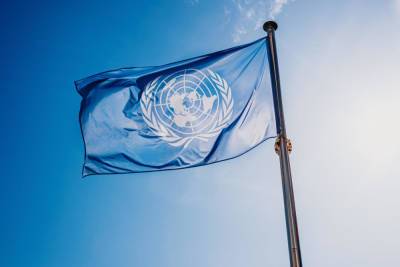 Совет ООН по правам человека проголосовал за расследование против Израиля