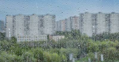 В Москве в пятницу пройдут дожди и грозы