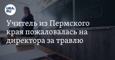 Учитель из Пермского края пожаловалась на директора за травлю