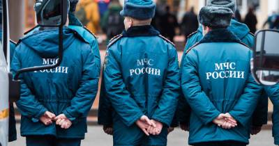 В Калининградской области за сутки обезвредили больше 220 артснарядов