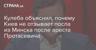 Кулеба объяснил, почему Киев не отзывает посла из Минска после ареста Протасевича