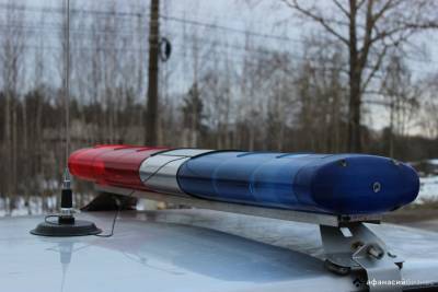В Тверской области двое 6-летних детей выехали на дорогу на квадроцикле и попали в аварию, когда родители отвлеклись