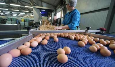 Производители заявили о риске дефицита яиц