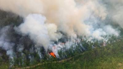 Лесные пожары на площади 208 га тушат в Якутии