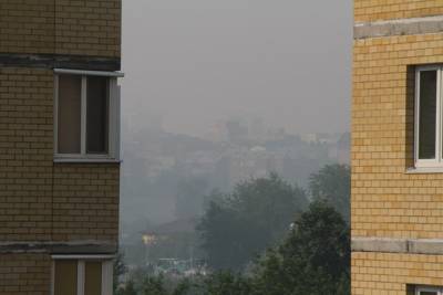 В Тюменской области в 1,6 раза выросла площадь природных пожаров, в Тюмени — смог