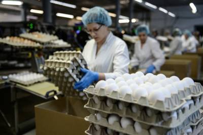 Минсельхоз опроверг данные о риске дефицита яиц в России