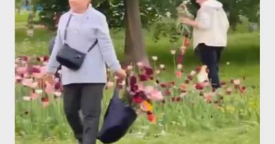 Москвичи оборвали клумбу с тюльпанами и попали на видео