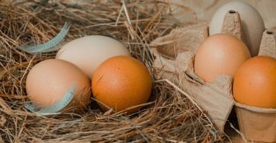 В Минсельхозе оценили заявления о риске дефицита яиц
