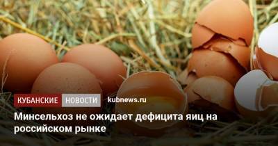 Минсельхоз не ожидает дефицита яиц на российском рынке