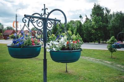 В городском округе Чехов продолжают высаживать цветы
